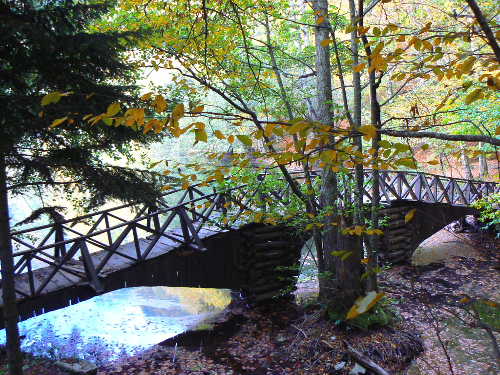 Bolu